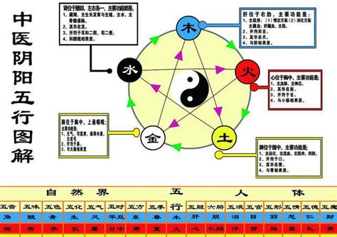 金融 五行